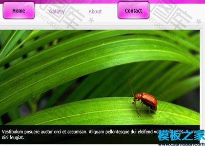 jQuery多页网站模板图2