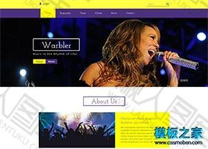 演唱会音乐会演出html网站模板