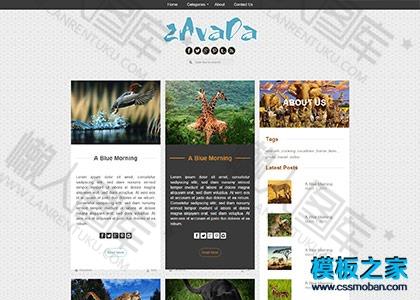动物世界主题博客模板图2