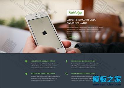 app应用开发网站模板图2