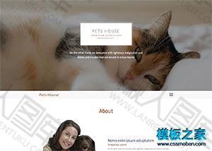 猫狗宠物主页html网站模板
