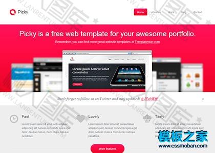企业网站建设cms模板图2