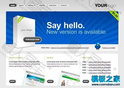 软件公司官网模板图2