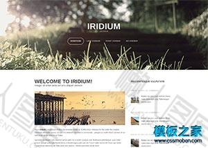 简单布局博客html5网站模板