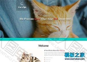 猫咪萌宠物乐园网站模板