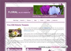 紫色花卉类展示网页模板