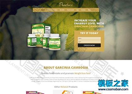 保健品销售公司网站模板图2