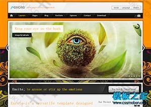 橙色大图纹理滚动商业网页模板