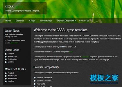 绿色二栏css3模板图2