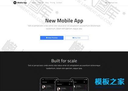 New Mobile App响应式网站模板图2