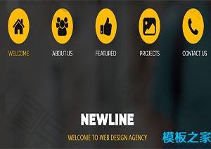 newline小图标CSS网站模板