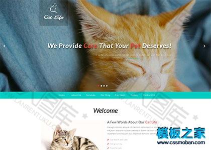 猫咪萌宠物乐园网站模板图2