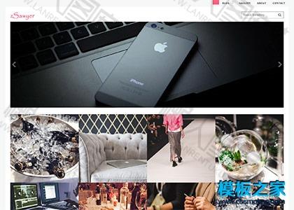 图库展示型网站模板图2