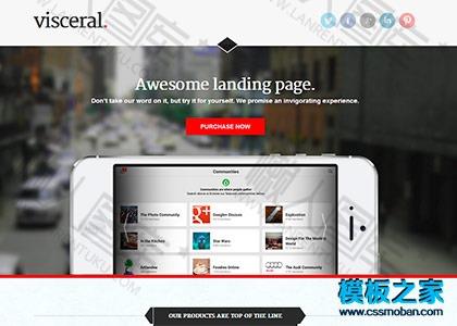 手机软件应用公司html网页模板图2