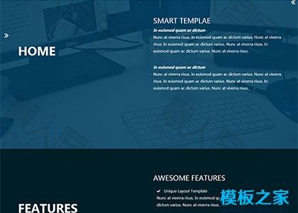 简洁技术开发简历html模板图2