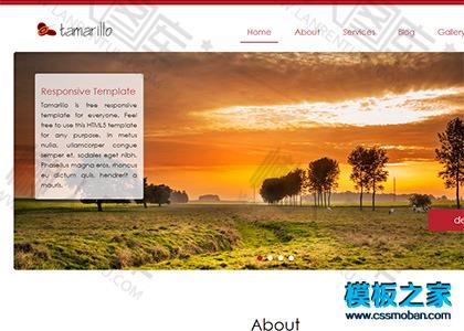 红色简洁宽屏单页跳转bootstrap模板图2