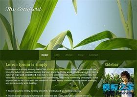 绿色植物背景html5模板