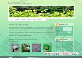 自然网站模板