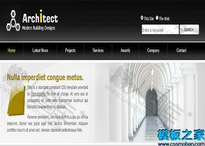 浅灰色主体html网页设计网站模板图2