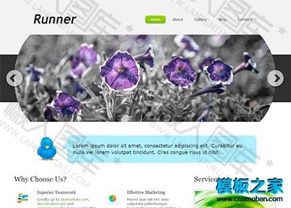 幻灯博客整站模板图2