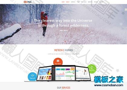 标准网站设计公司响应式模板图2