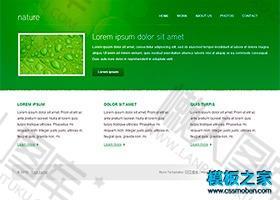 绿色主题外贸企业html网页模板
