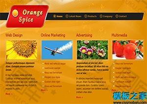 orange spice单页网站模板