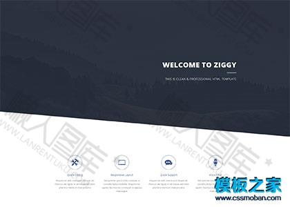 小众个性企业网站模板图2