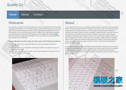 灰色简洁html网页模板图2