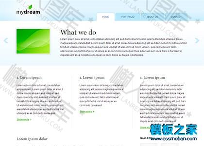 简洁的企业网站模板图2