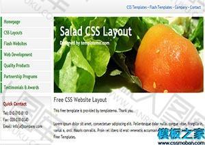 salad单页web网站模板