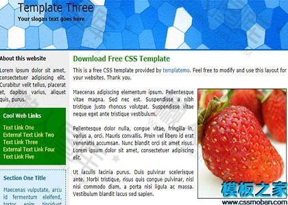 蓝色页眉web水果蔬菜网站模板图2