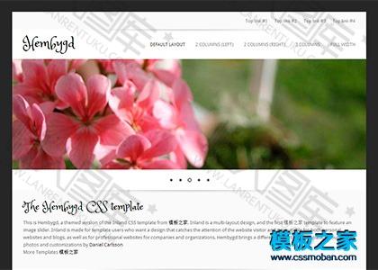 小清新企业网站模板图2