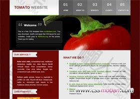 饮食类企业网站模板