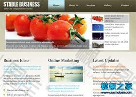 棕色商务企业网站模板