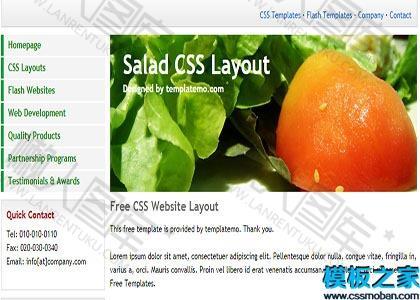 salad单页web网站模板图2