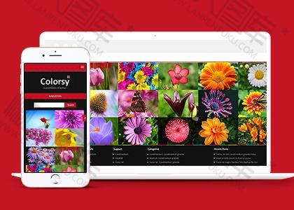 bootstrap响应式网站模板图2