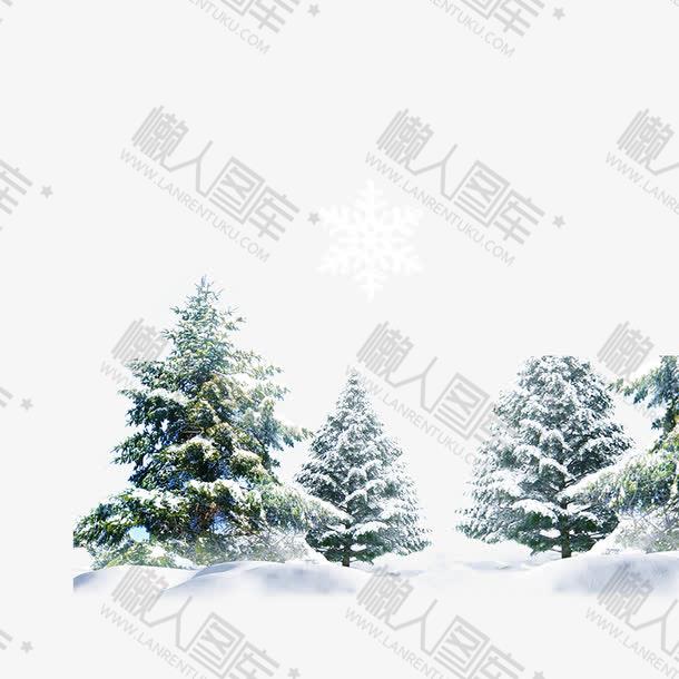 冬天大雪图片图1