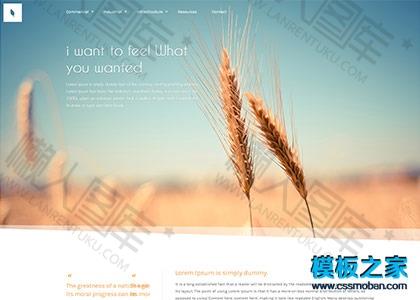 企业响应式整站模板图2