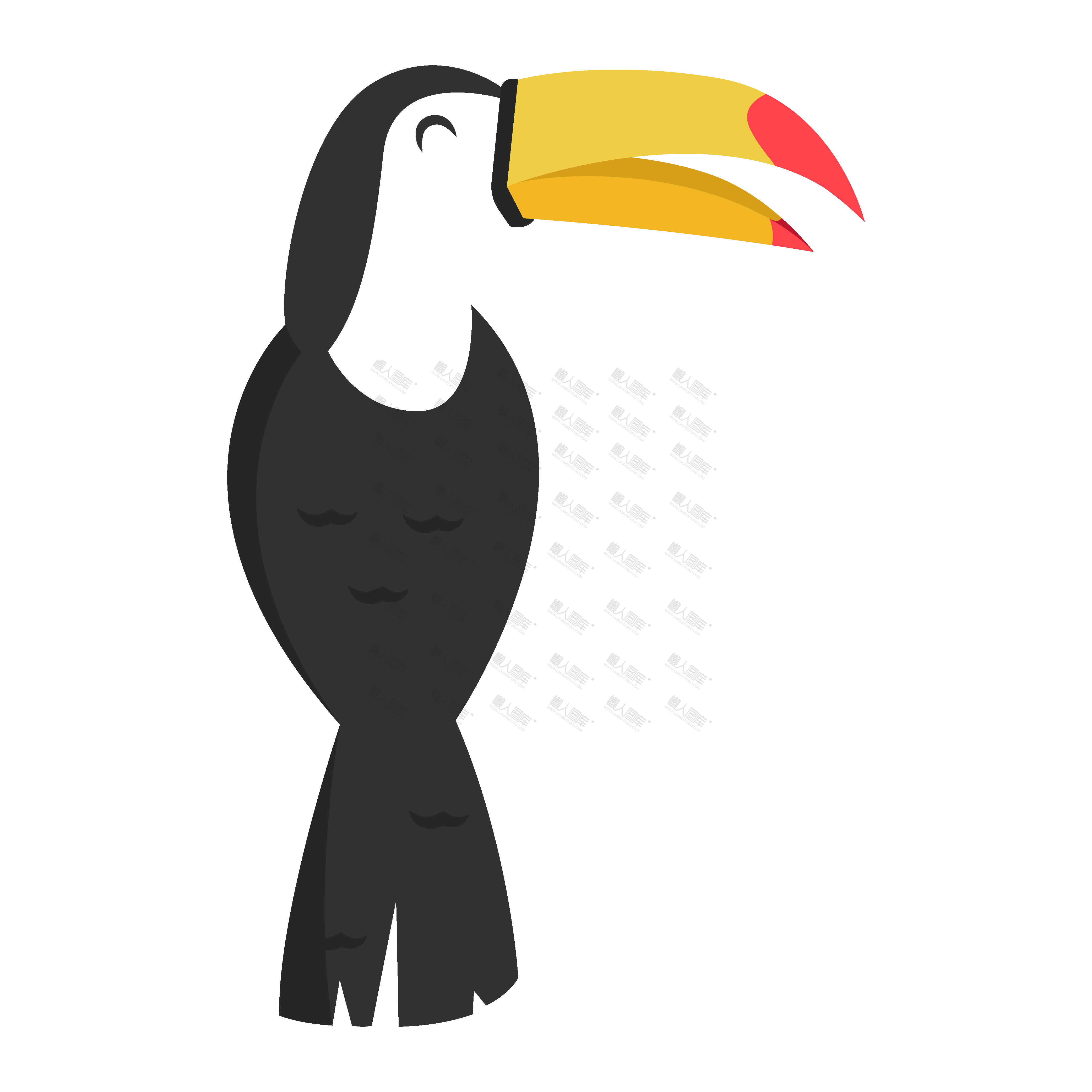 托哥巨嘴鸟卡通图片