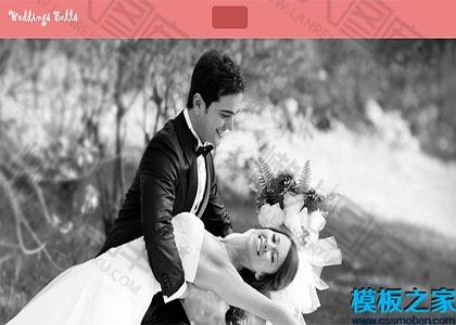 唯美粉色婚庆公司响应式网站图2