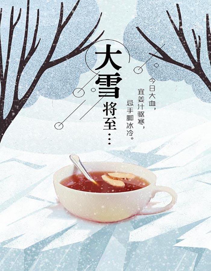 仲冬时节大雪海报