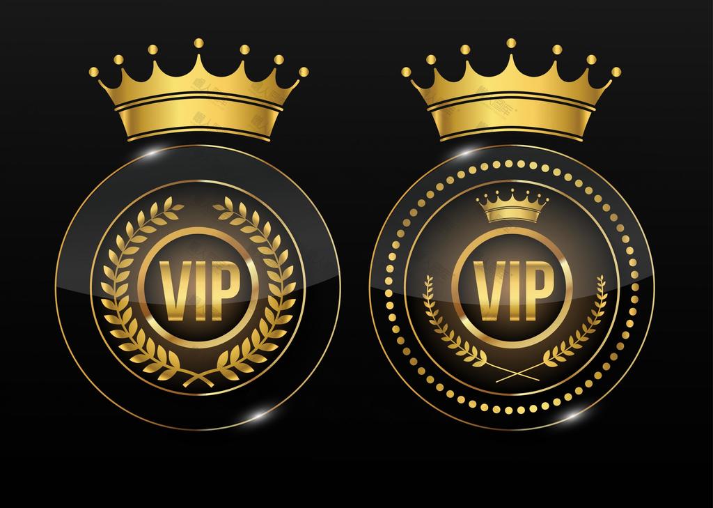 高端会员VIP徽标