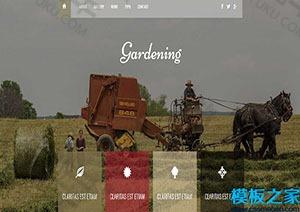 Gardening园艺花艺响应式web网站模板