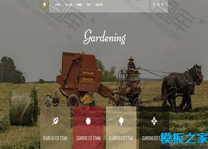 Gardening园艺花艺响应式web网站模板图2