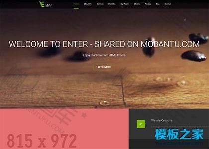 产品推广网站模板图2