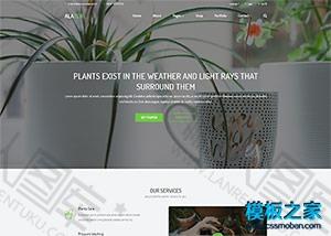 绿色盆栽园艺工作室网页模板