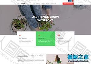 鲜花盆景植物网店单页模板