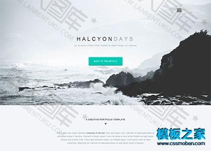 网站前端HTML5设计案例模板图2
