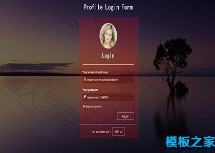 注册登录响应式web网站模板图2